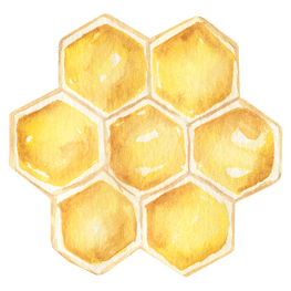 afbeelding van bijenwas korrels