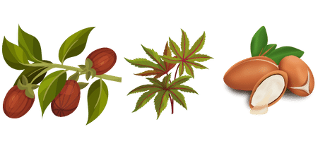 afbeelding van castor olie, jojoba olie en argan olie