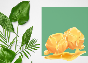 De Natuurlijke Voordelen van Bijenwas