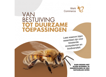 Waarom bijen onmisbaar zijn voor onze natuur